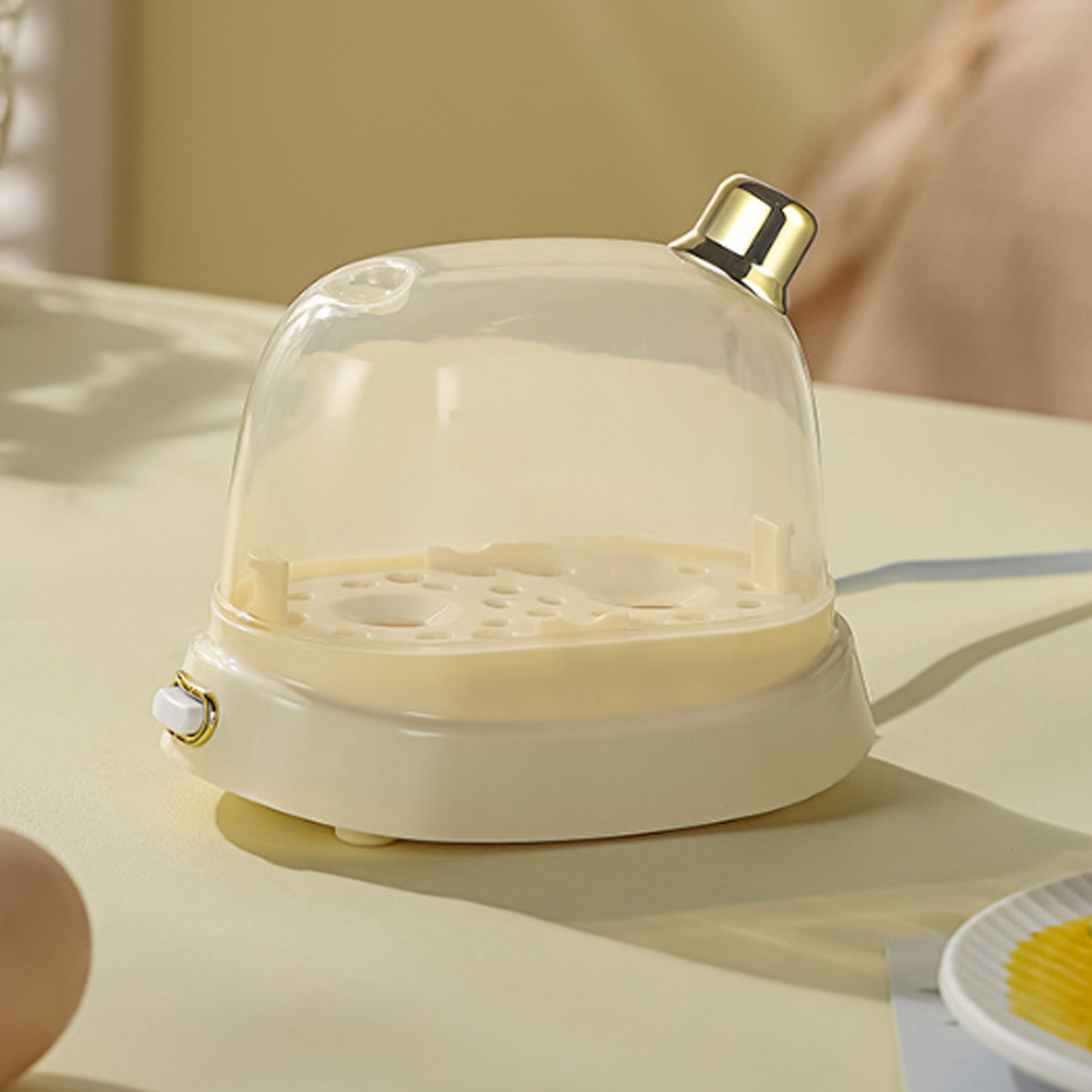 Cuiseur à œufs électrique rapi - Egg Cooker Rapid avis et prix